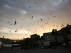 Dämmerung über dem Fischmarkt von Taksim